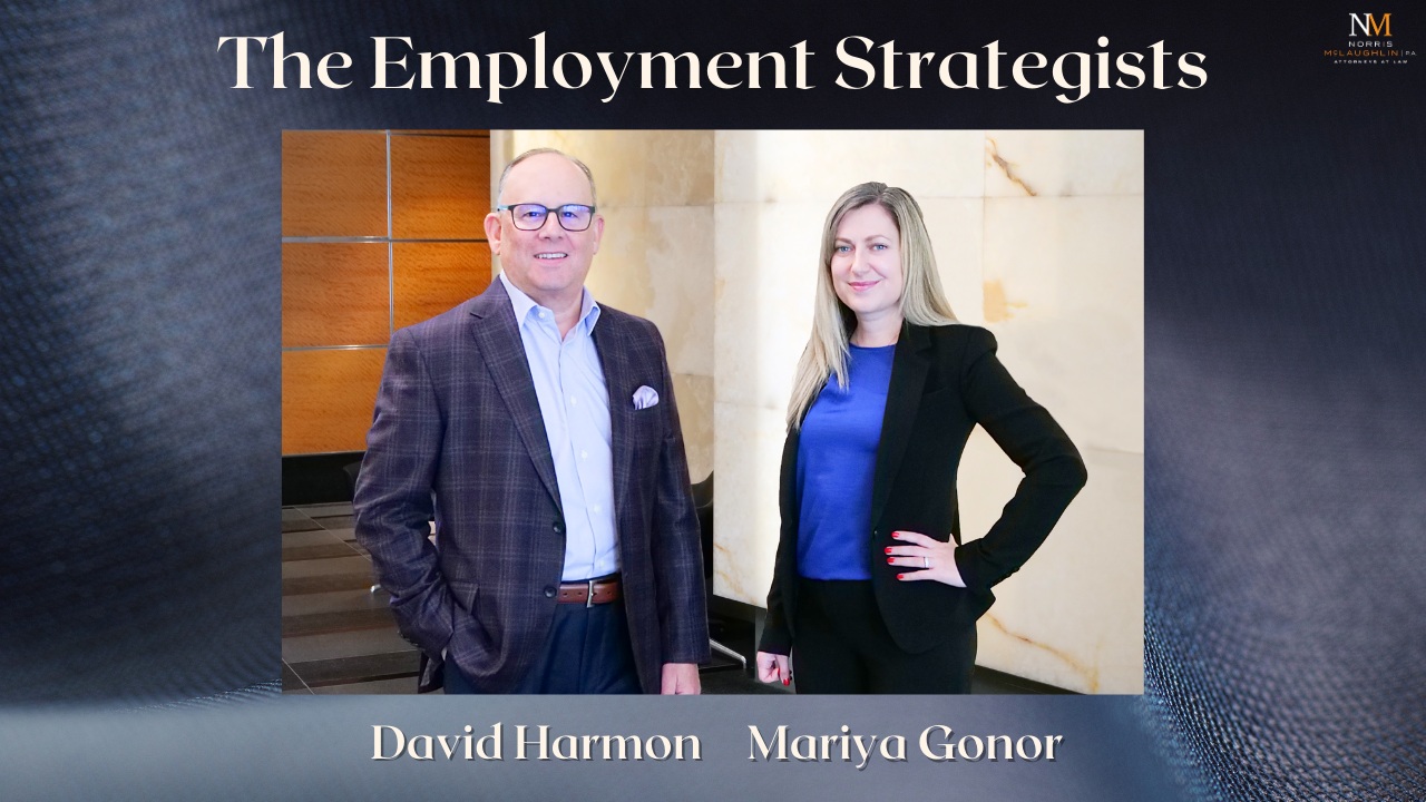 The Employment Strategists