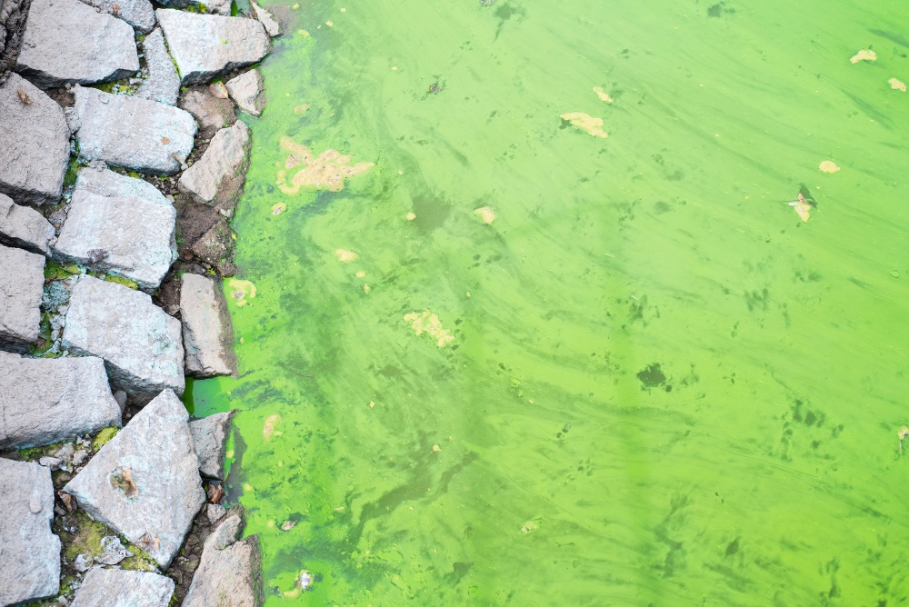U.S. Supreme Court Issues a Major Ruling on NPDES Permits