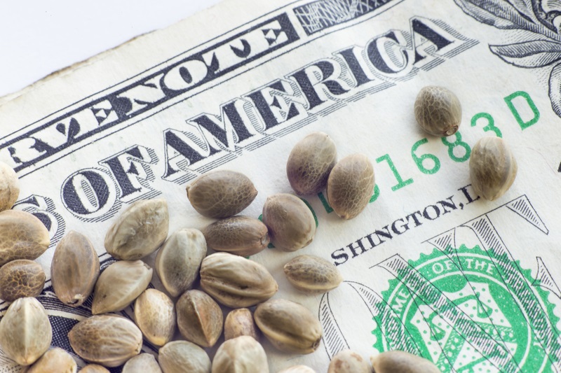 NCUA Issues Banking Guidelines for Hemp Businesses