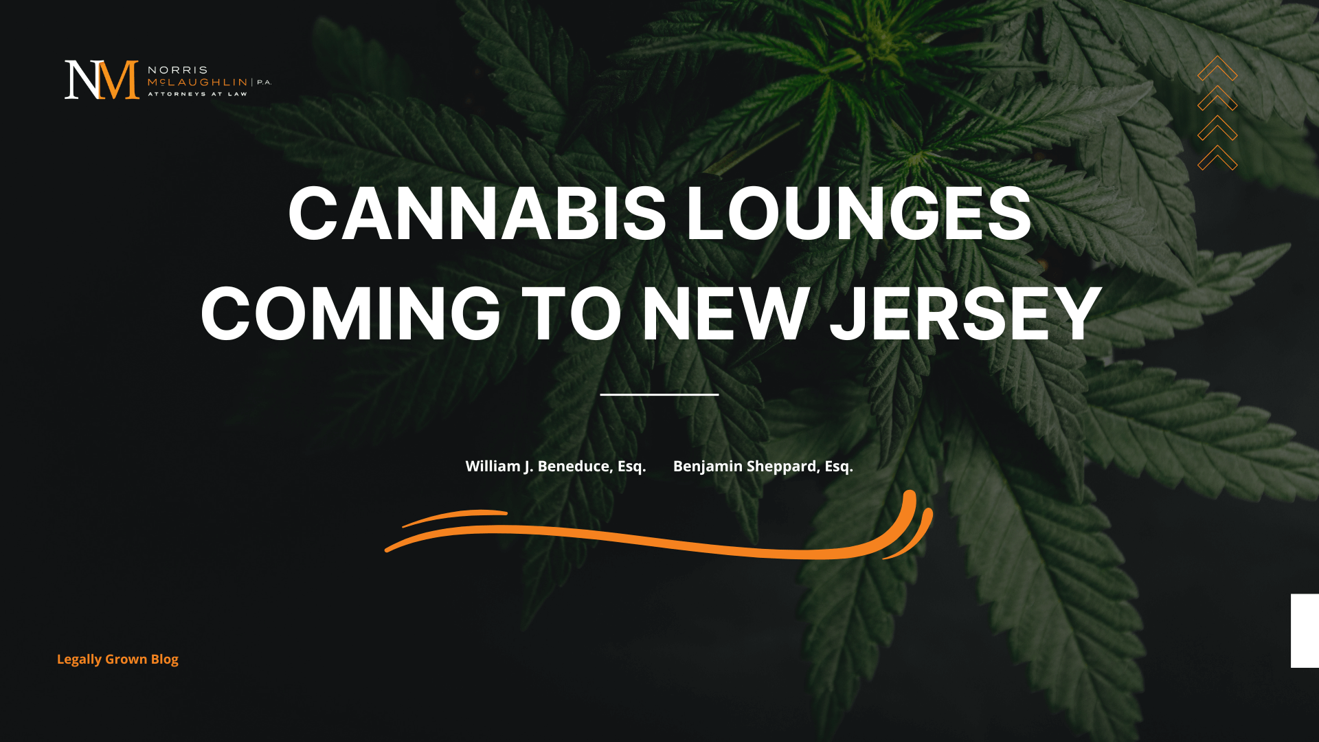 Cannabis Lounges Coming to New Jersey