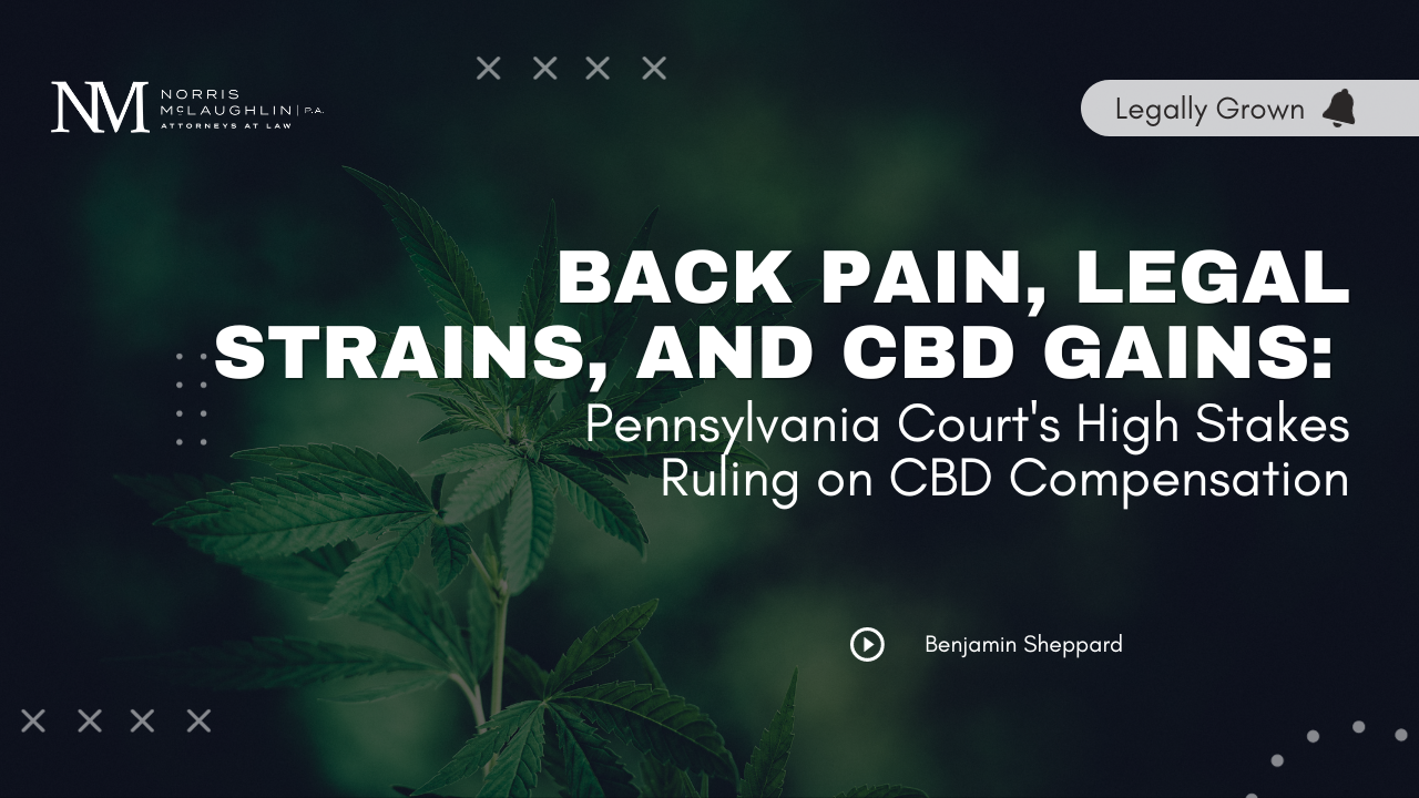 Back Pain, Legal Strains, and CBD Gains: Pennsylvania Court’s High Stakes Ruling on CBD Compensation