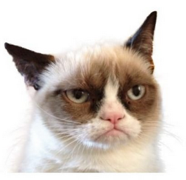 $710,000 Jury Award Gives Grumpy Cat a Reason to Smile
