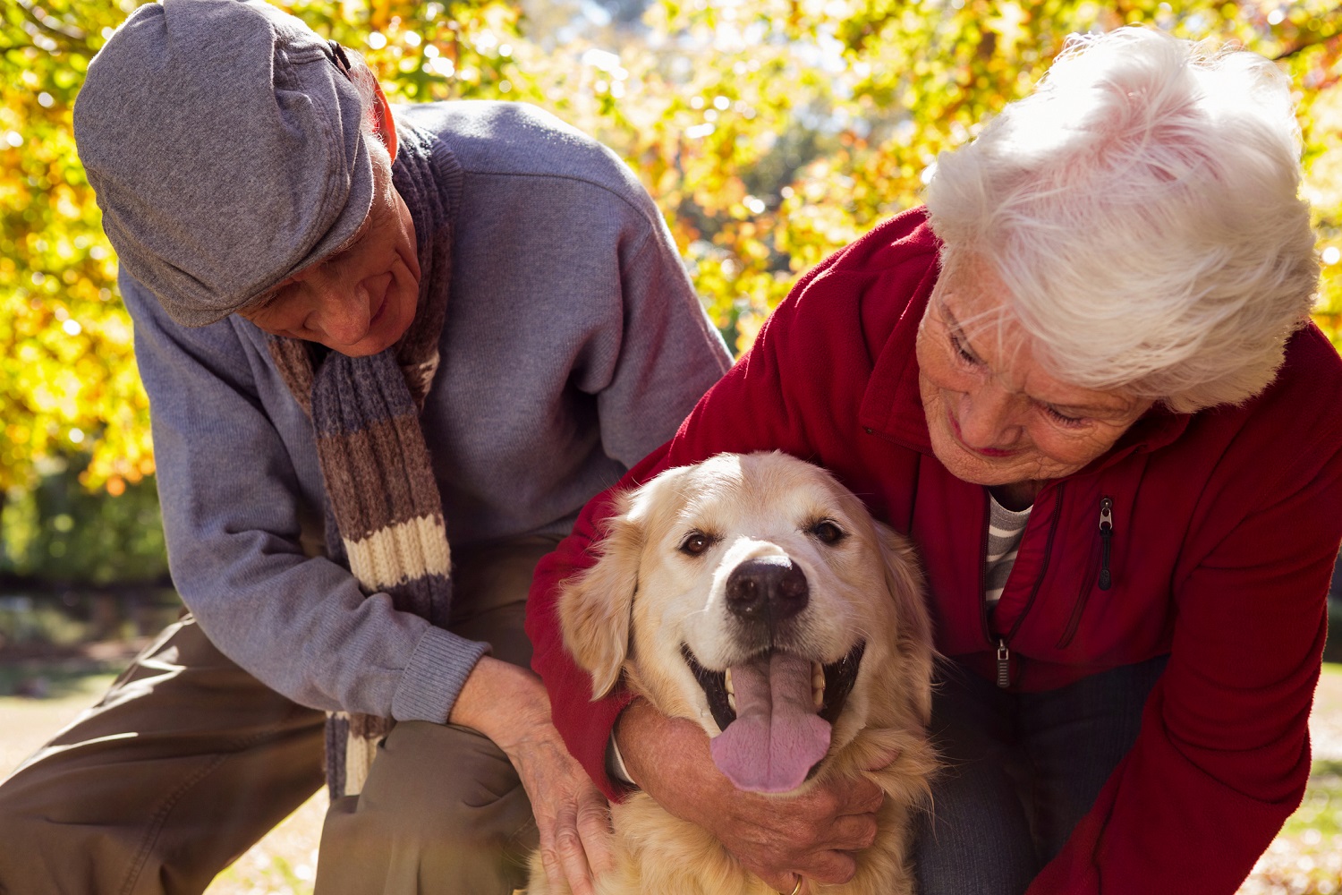 Estate Planning: Did You Remember Your Pets?