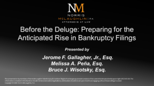 Before the Deluge: Preparing for the Anticipated Rise in Bankruptcy Filings
